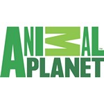 Animal Planet Logo [EPS-PDF]