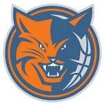 charlotte bobcats logo thumb