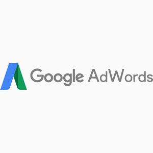 Google Adwords Logo (.PDF)