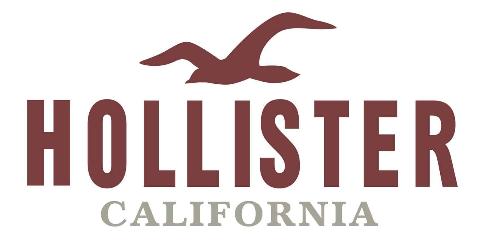 companies like hollister