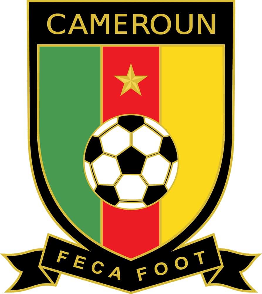 federation camerounaise de football cameroon national football team logo