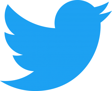 Twitter Logo PNG Image twitter logo 462x375