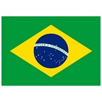 Brazil Flag [Brazilian]