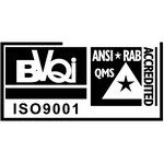 BVQI ISO 9001 Logo