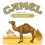 Camel Cigarette