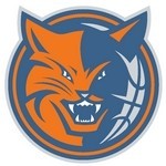 Charlotte Bobcats Logo