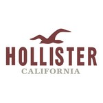 hollister california logo thumb