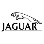 Jaguar Logo