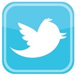 Twitter Bird Icon Logo
