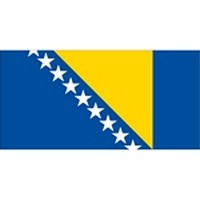 Bosnia and Herzegovina Flag