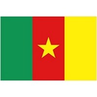 Cameroon Flag thumb