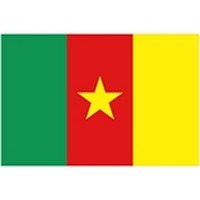 Cameroon Flag