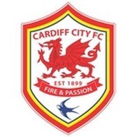 Cardiff City Football Club Logo