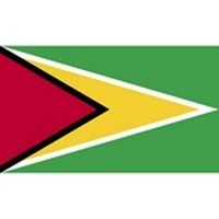 Guyana Flag