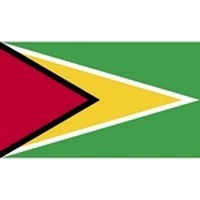 Guyana Flag