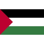 Palestine Flag