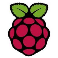 Raspberry Pi Logo