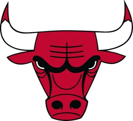 chicago bulls logo