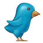 painted twitter bird 145x145