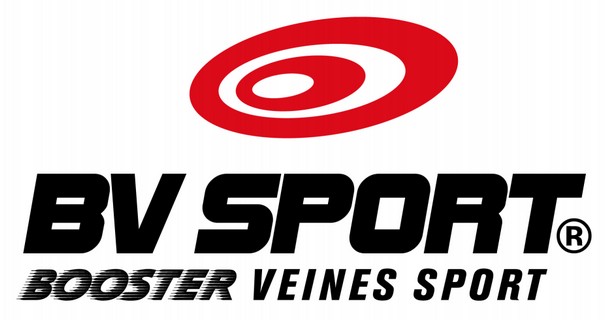 bv sport logo