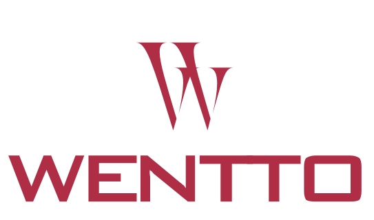 wentto mobile logo