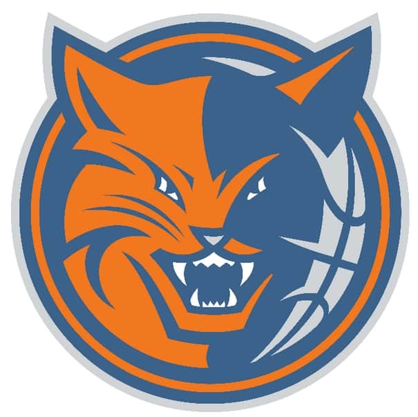 charlotte bobcats logo