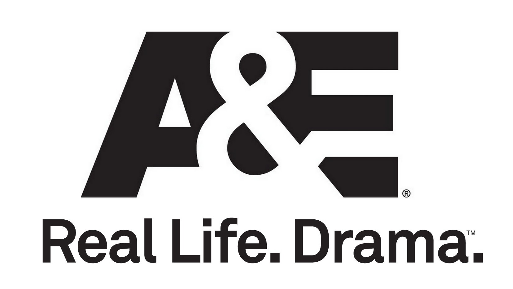 a e network logo