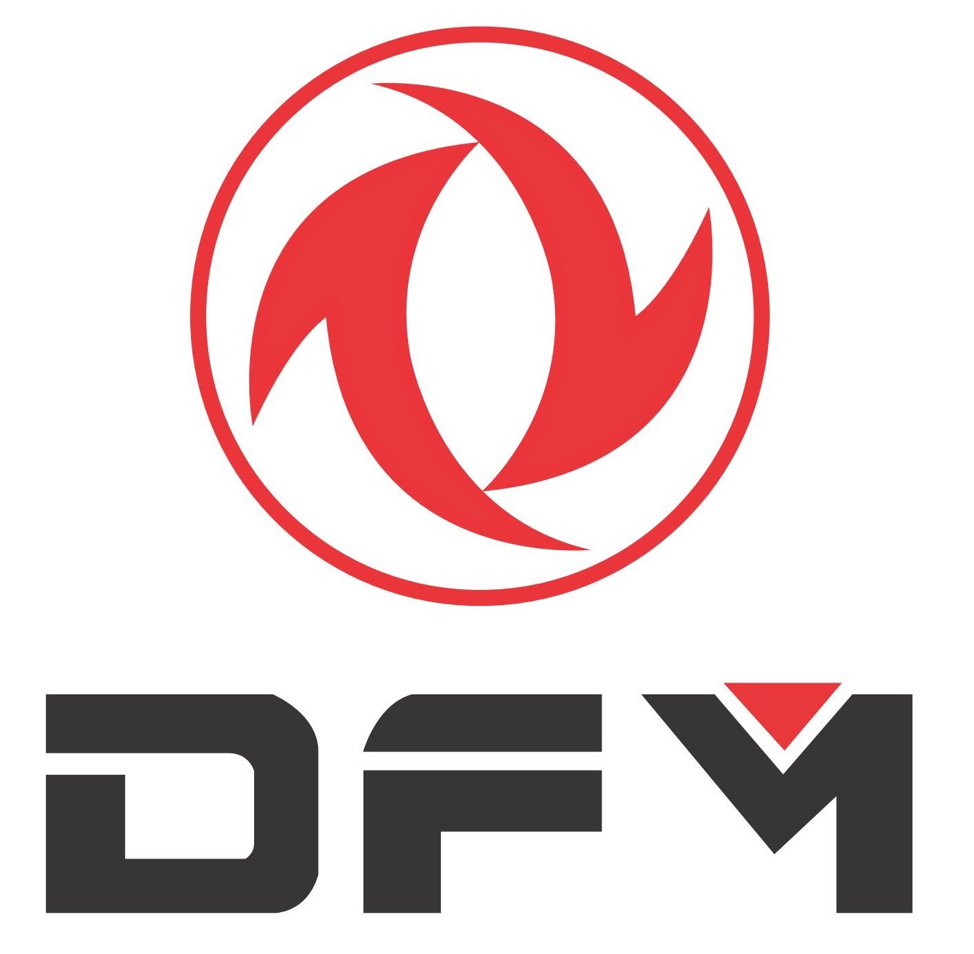 dfm logo