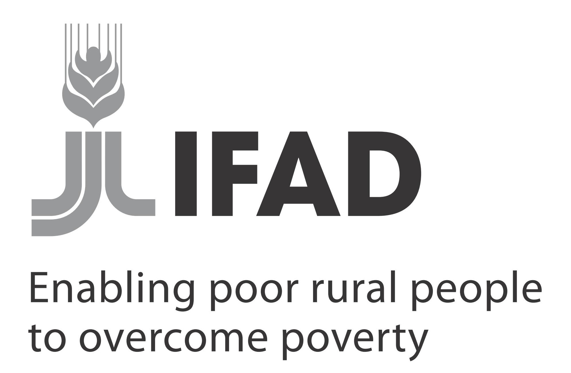 ifad logo