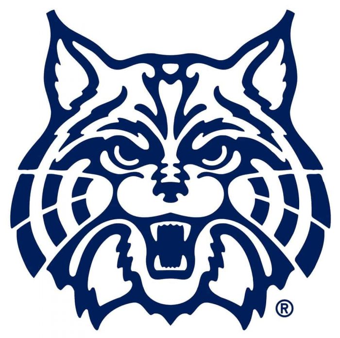 University of Arizona Logo3 700x696