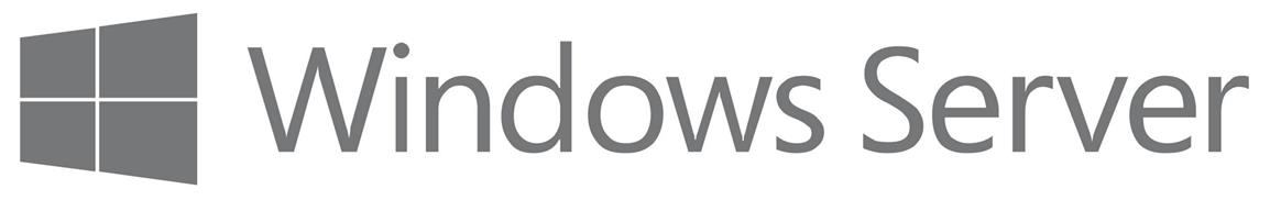 windows server logo