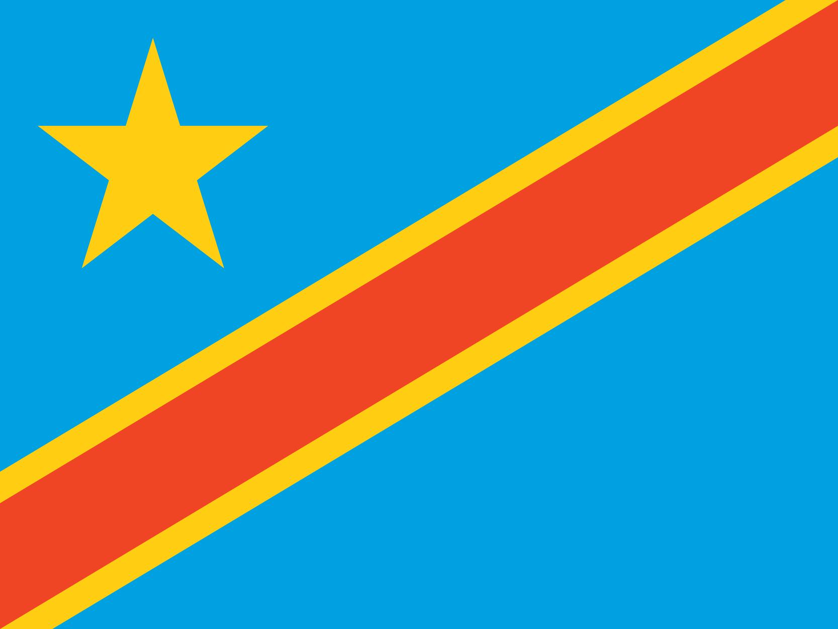 Democratic Republic of the Congo Flag