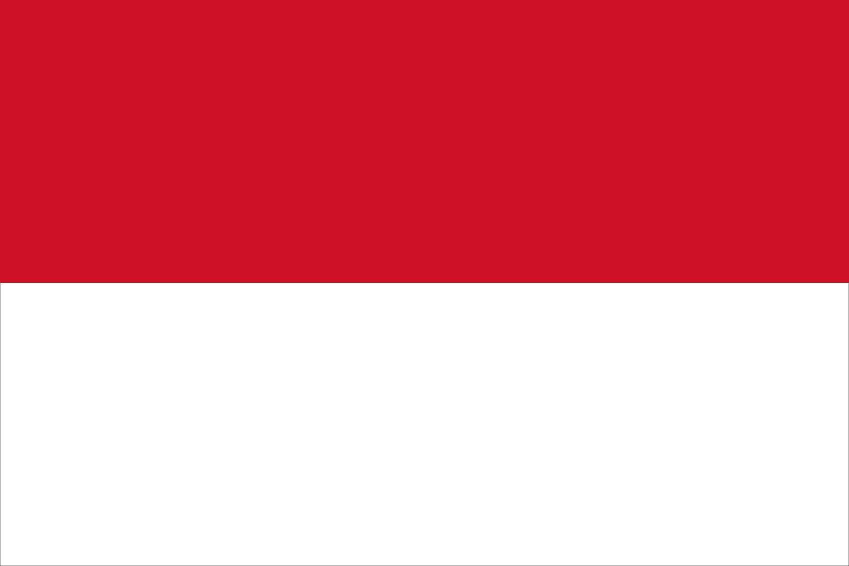 Flag of Indonesia