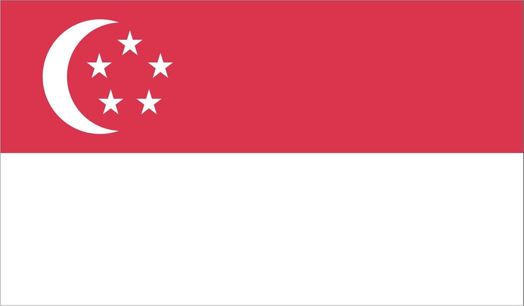 Singapore flag