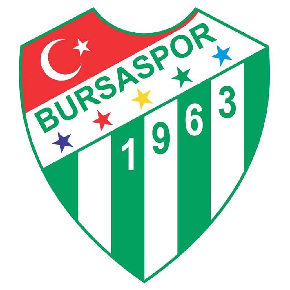 bursaspor kulubu logo