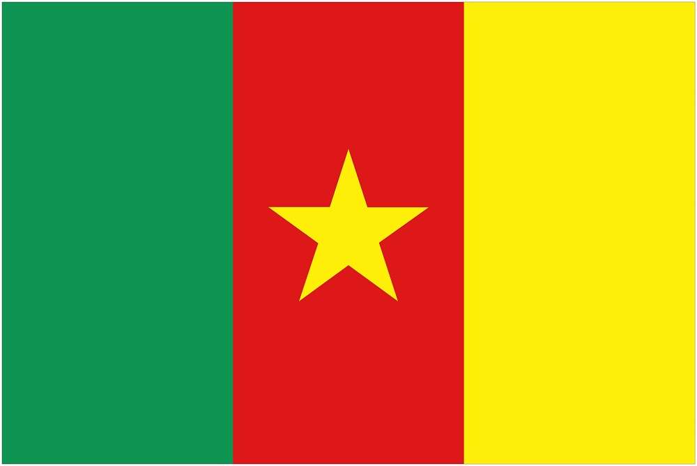 Cameroon Flag