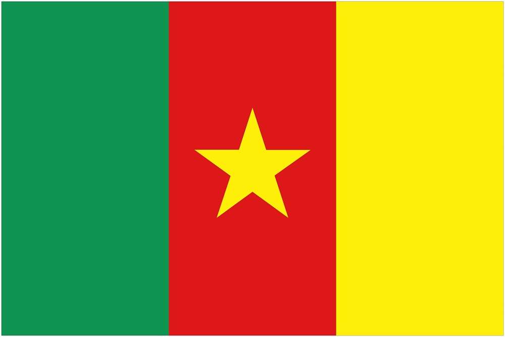 Cameroon Flag