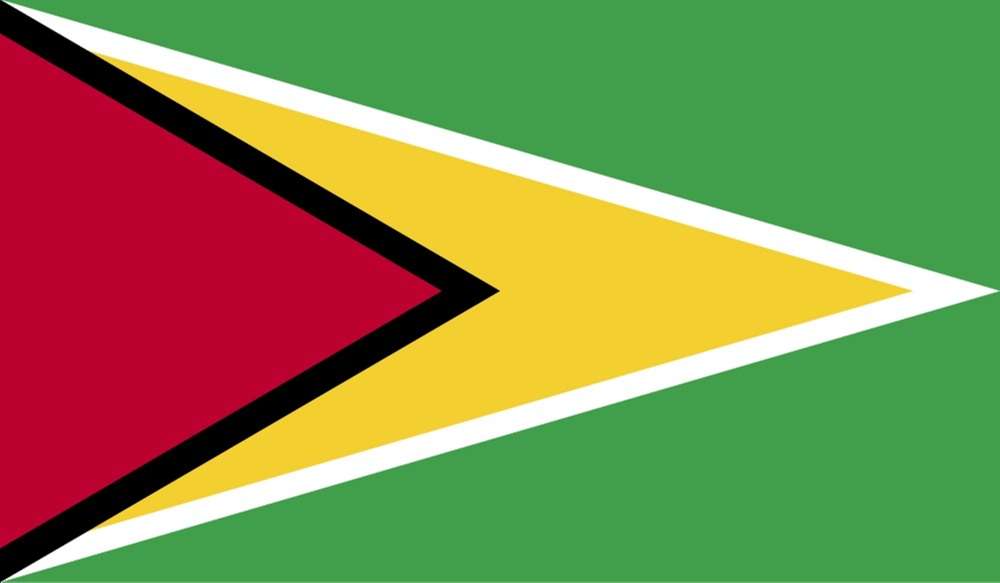 guyana flag