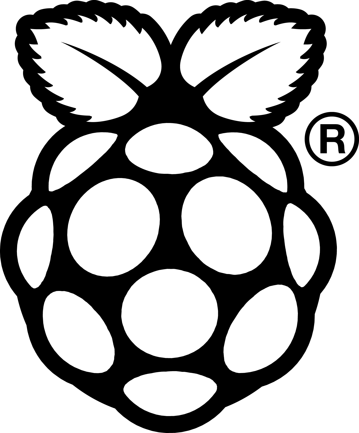 raspberrypi logo