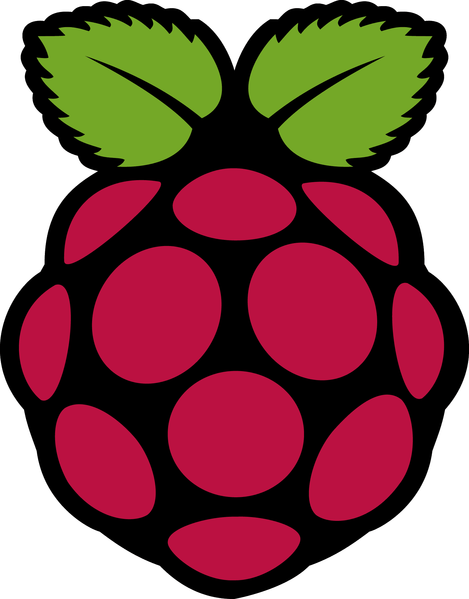 raspberrypi logo
