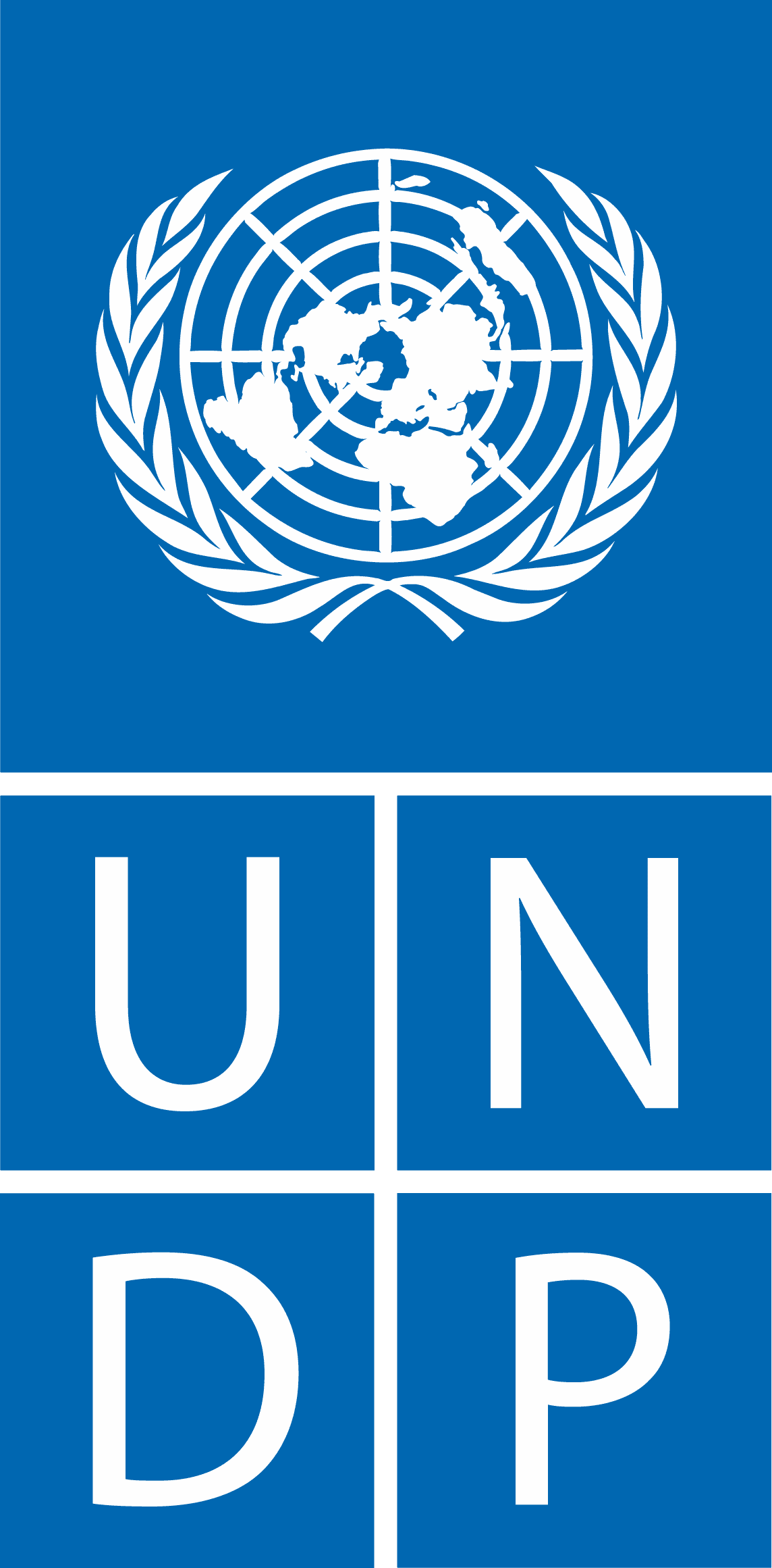 undp logo