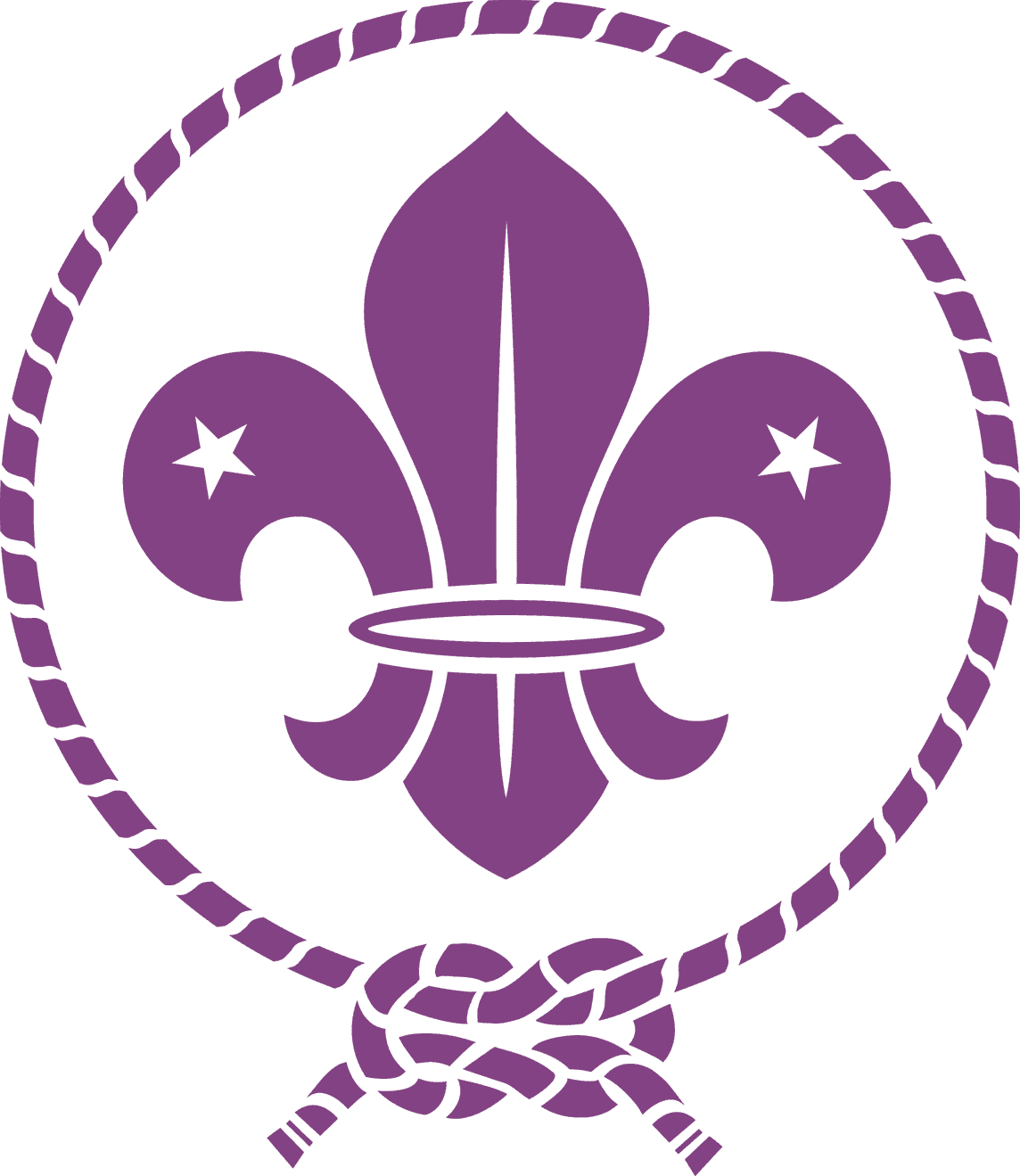 wosm logo